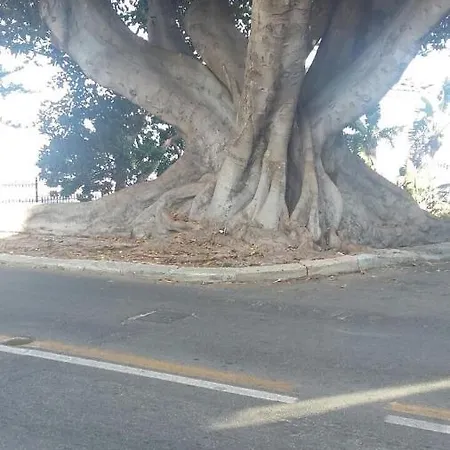 Da Ale Al Centro Storico דירה *